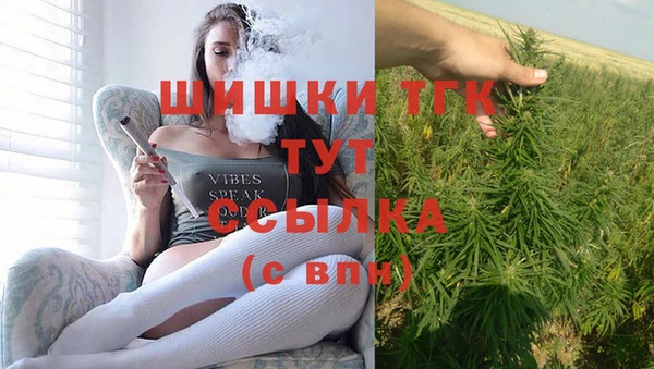 mdpv Краснослободск