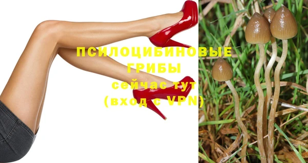 мяу мяу мука Краснотурьинск