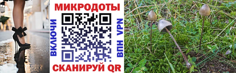 Купить закладки  Домодедово  Галлюциногенные грибы MAGIC MUSHROOMS